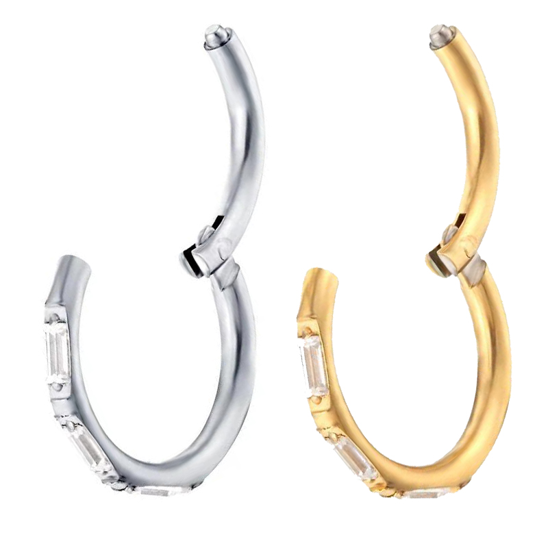 ASTM F136 Titanium Oorbellen H - Body Jewelry Quality recensie en prijs