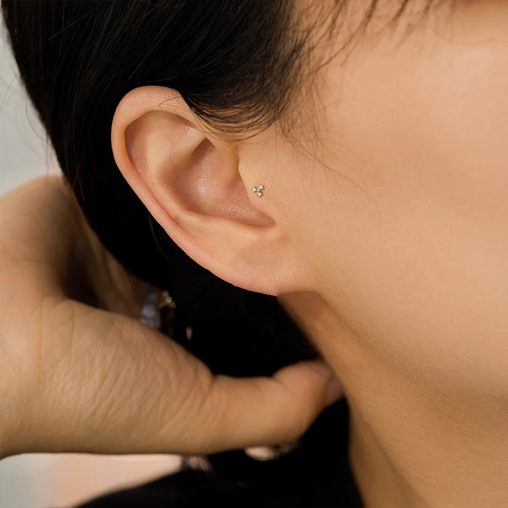 1PC Rvs Crystal CZ Vlinder Kra - Tragus Flat Back recensie en prijs