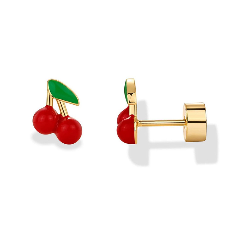 2 stuks kraakbeen oorbellen st - Tragus Flat Back recensie en prijs