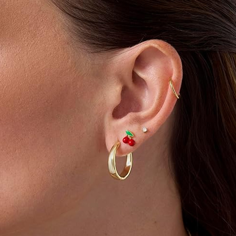 2 stuks kraakbeen oorbellen st - Tragus Flat Back recensie en prijs