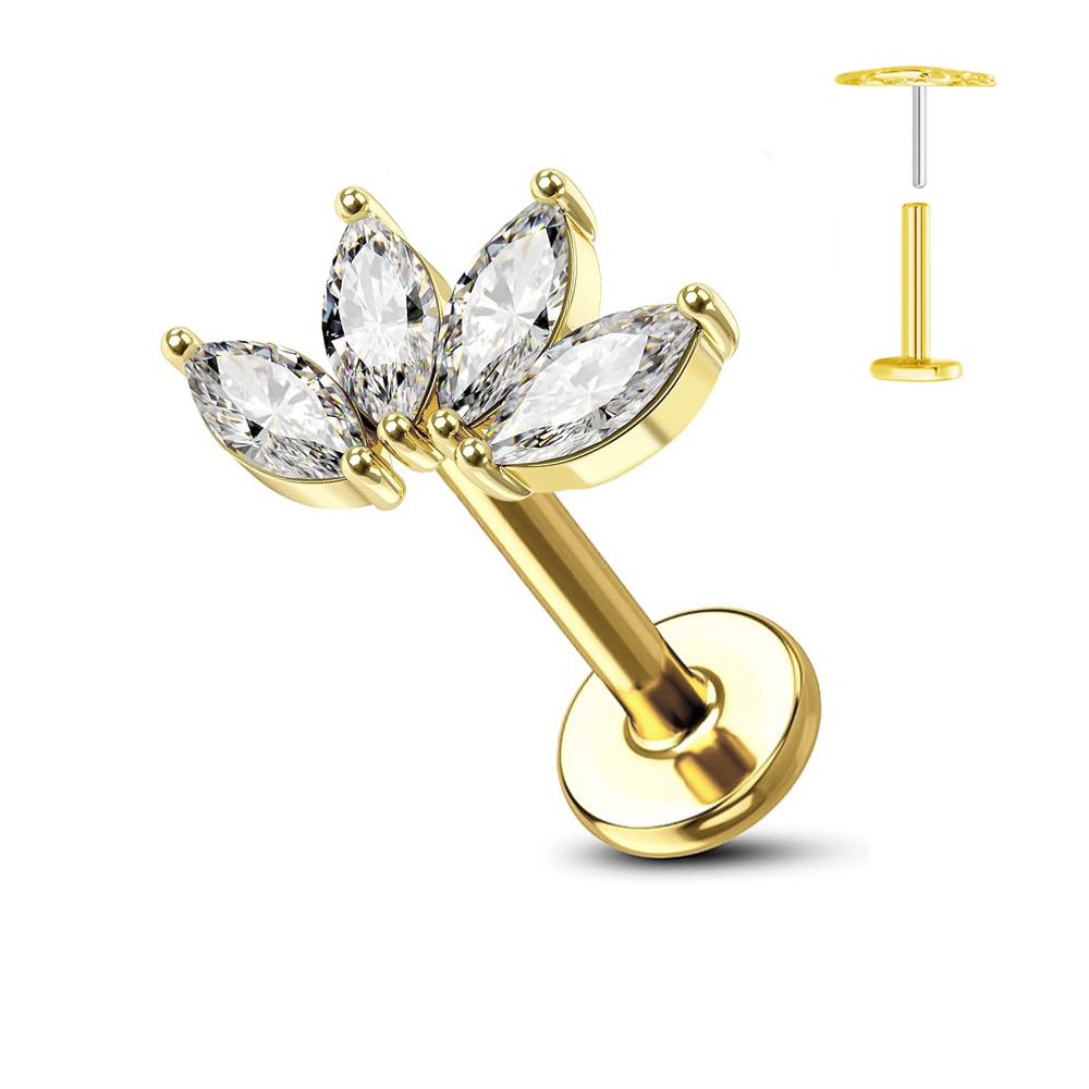 ASTM F136 G23 Titanium Bloem D - Tragus Flat Back recensie en prijs