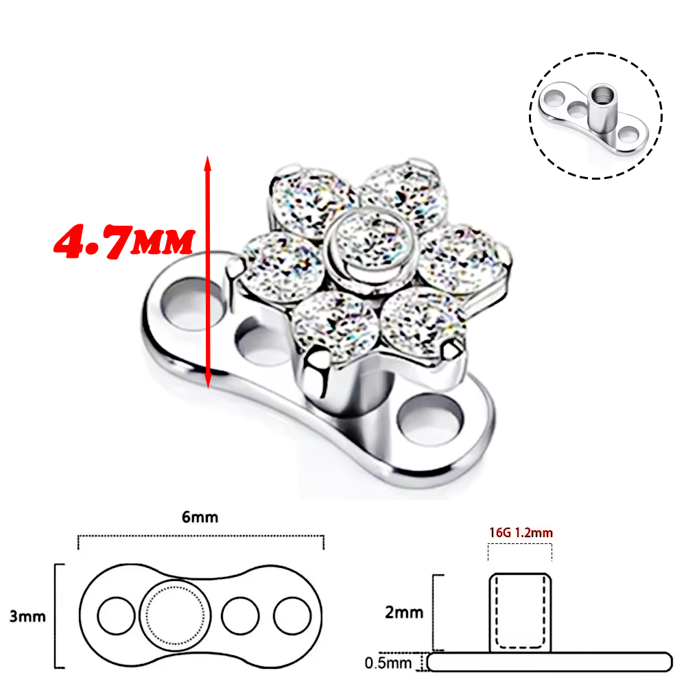 F136 Titaniumlegering Hoogwaar - Body Jewelry Quality recensie en prijs