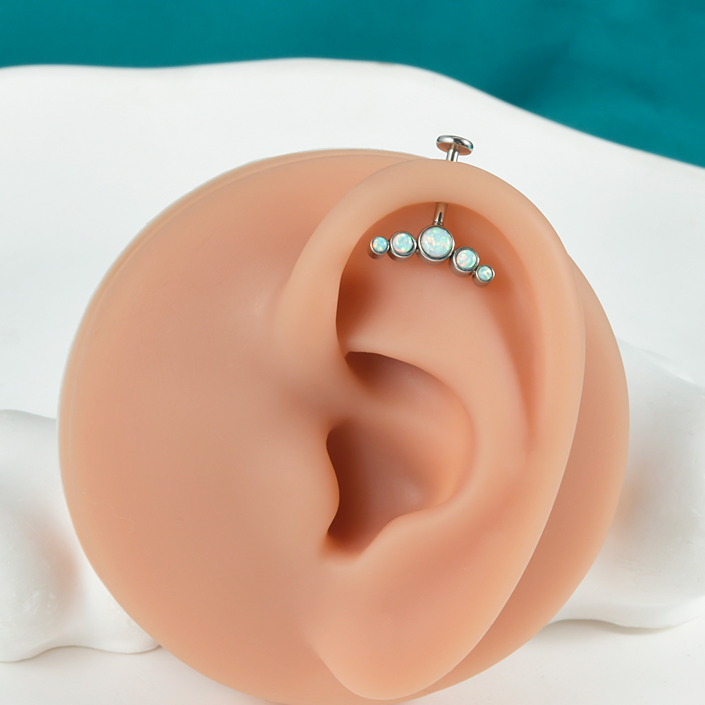 1 Stuk Chirurgisch Staal Cz Ge - Body Jewelry Labret recensie en prijs