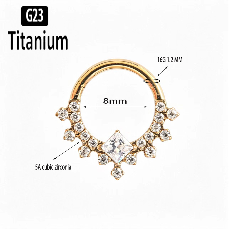G23 Titanium Hoge Kwaliteit Pl - Body Jewelry Quality recensie en prijs