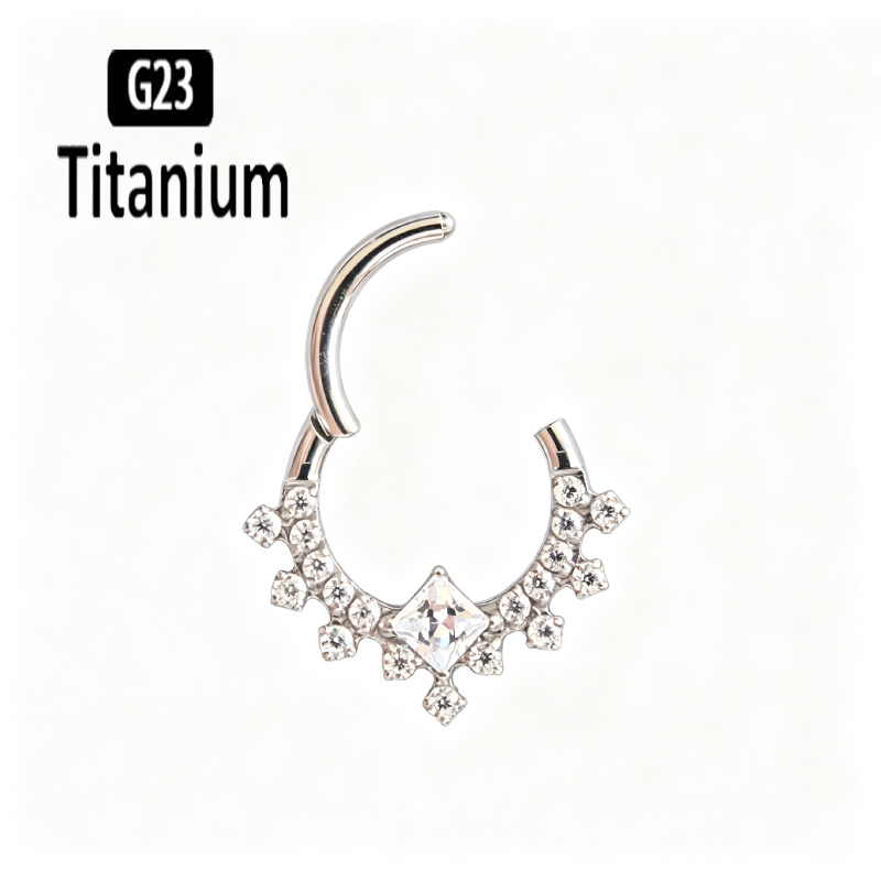 G23 Titanium Hoge Kwaliteit Pl - Body Jewelry Quality recensie en prijs