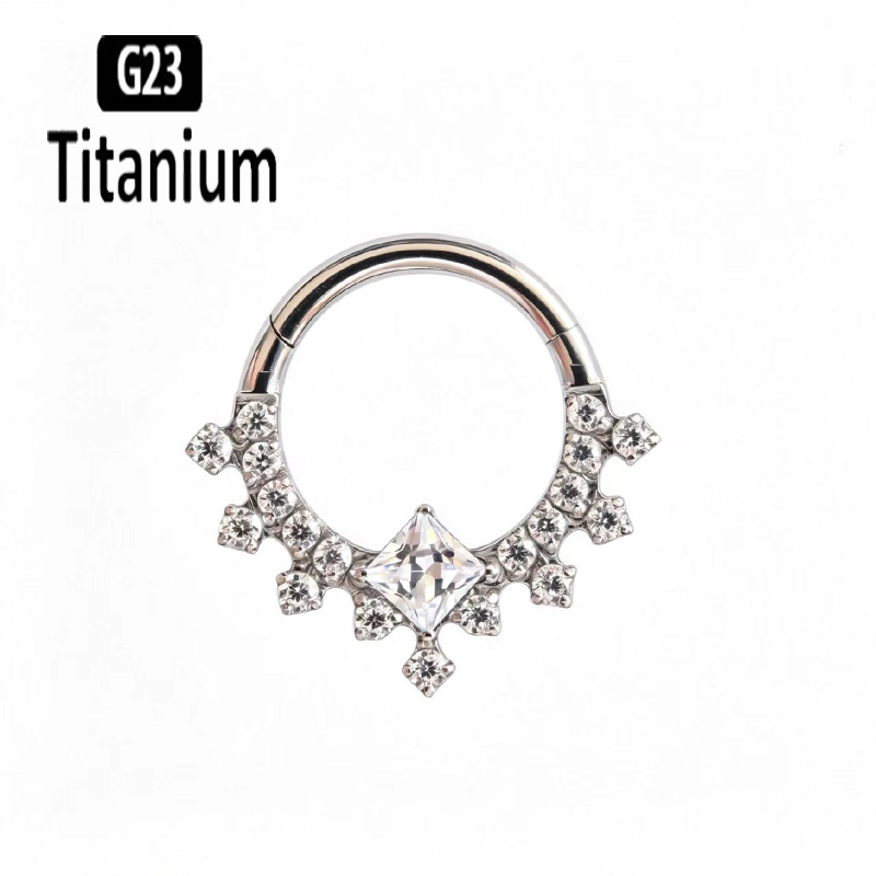G23 Titanium Hoge Kwaliteit Pl - Body Jewelry Quality recensie en prijs