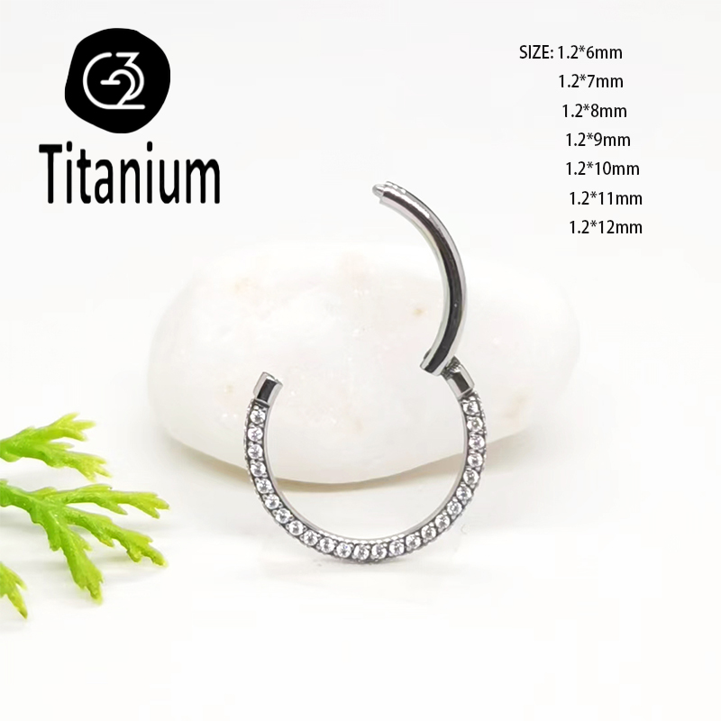 ASTM F136 G23 Titanium Piercin - Body Jewelry Quality recensie en prijs
